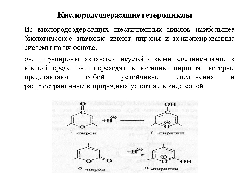 Кислородсодержащие гетероциклы      Из кислородсодержащих шестичленных циклов наибольшее биологическое значение